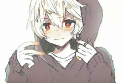 动漫男的,探寻二次元世界的魅力与梦想