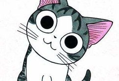 猫的动漫,动漫猫界的奇幻冒险之旅